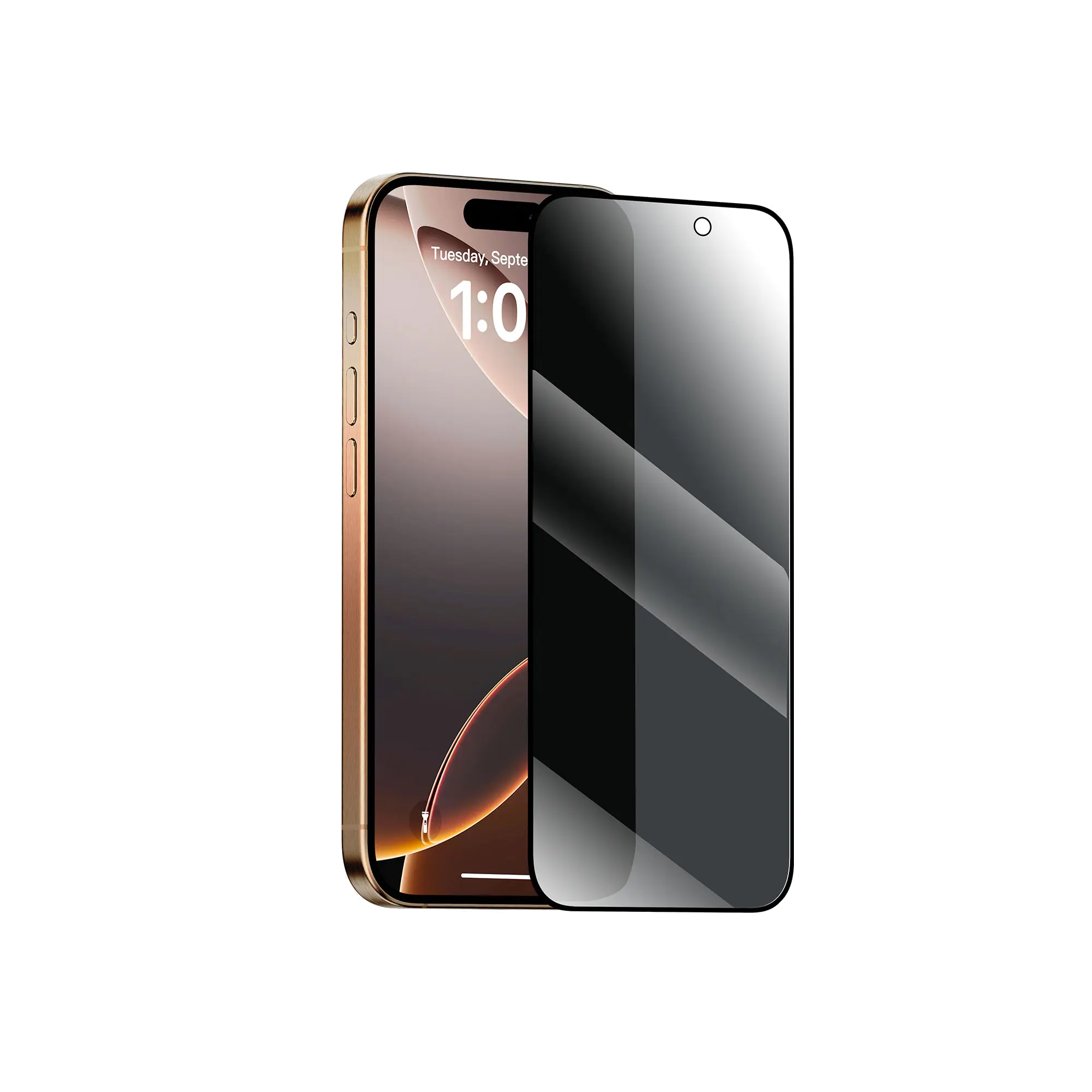 BWOO Privacy Screen Protector for iPhone 16 Pro Max