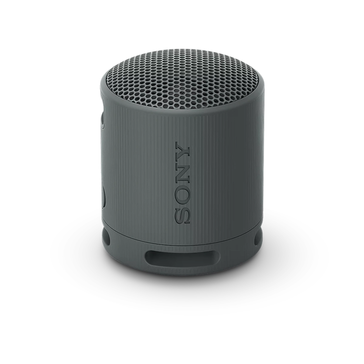 Sony SRS-XB100 Portable Wireless Speaker Price In Bangladesh