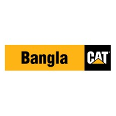 Bangla cat