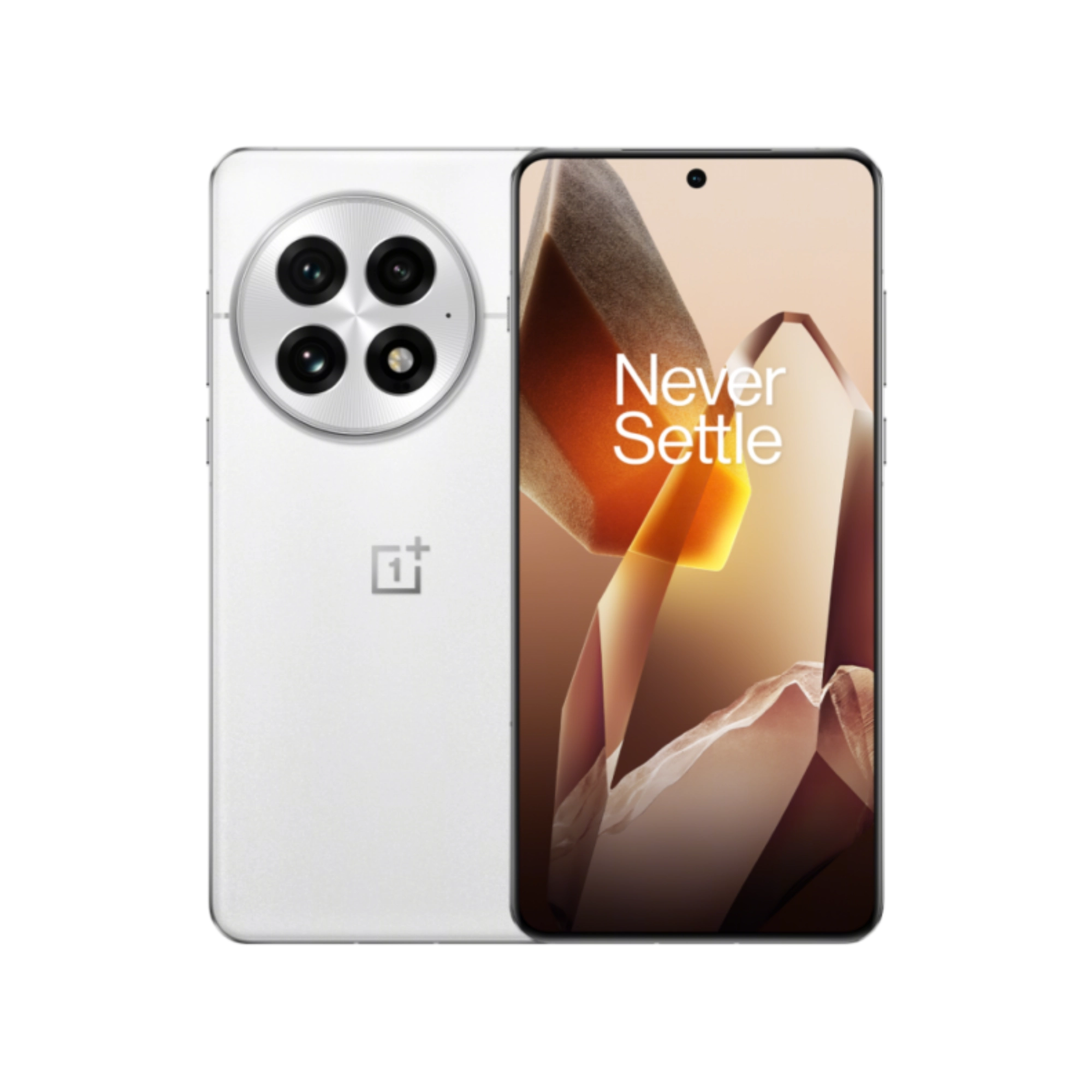 OnePlus 13