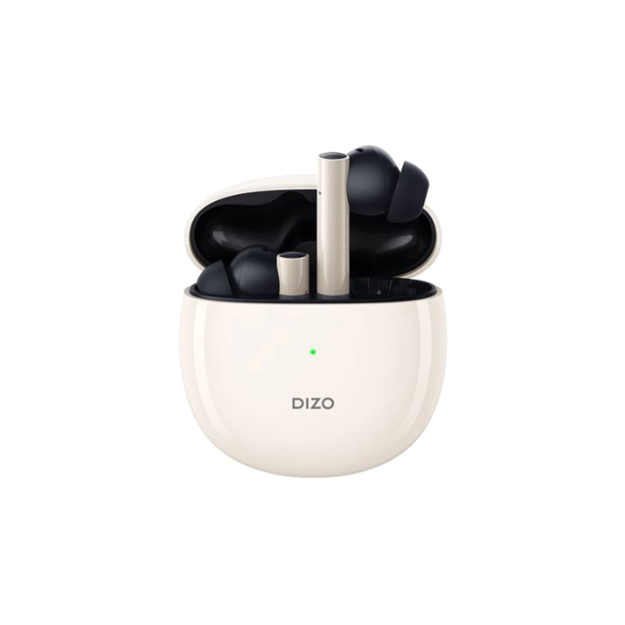 Dizo Gopods True Wireless Earbuds