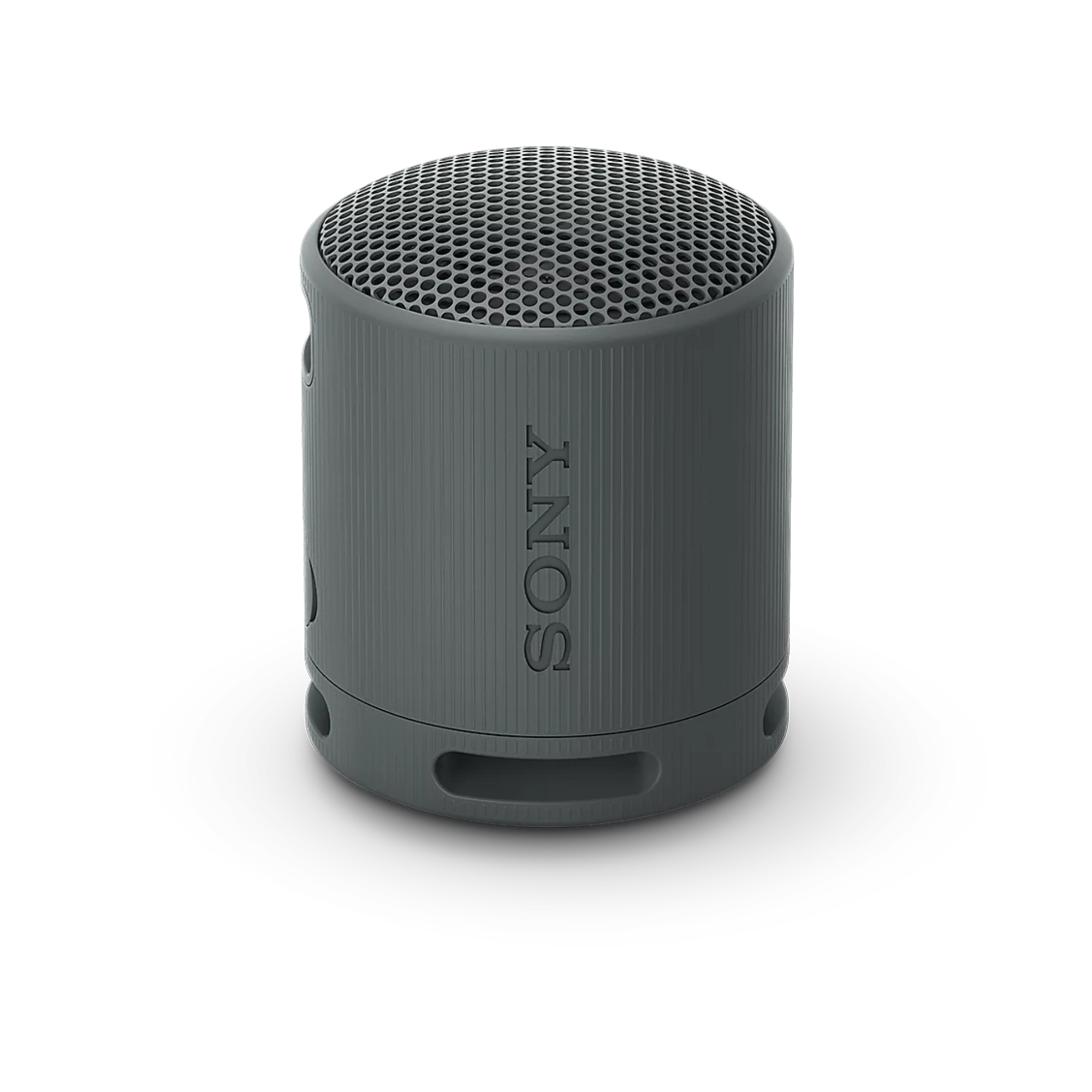 Sony SRS-XB100 Portable Wireless Speaker 