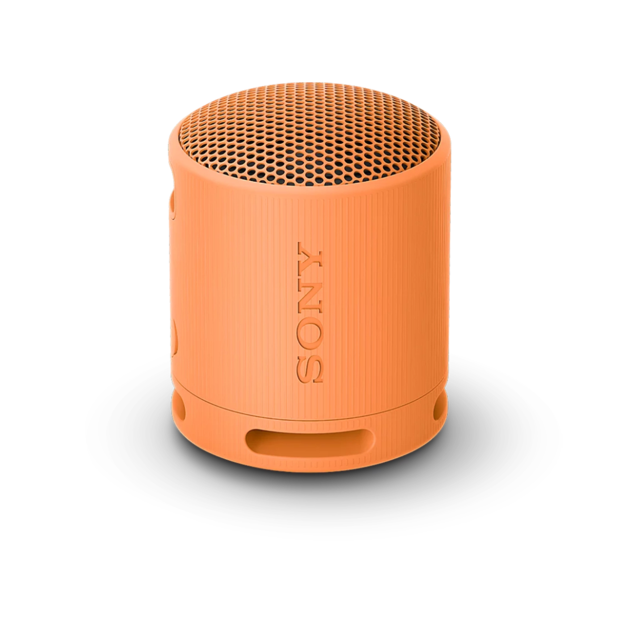 Sony SRS-XB100 Portable Wireless Speaker