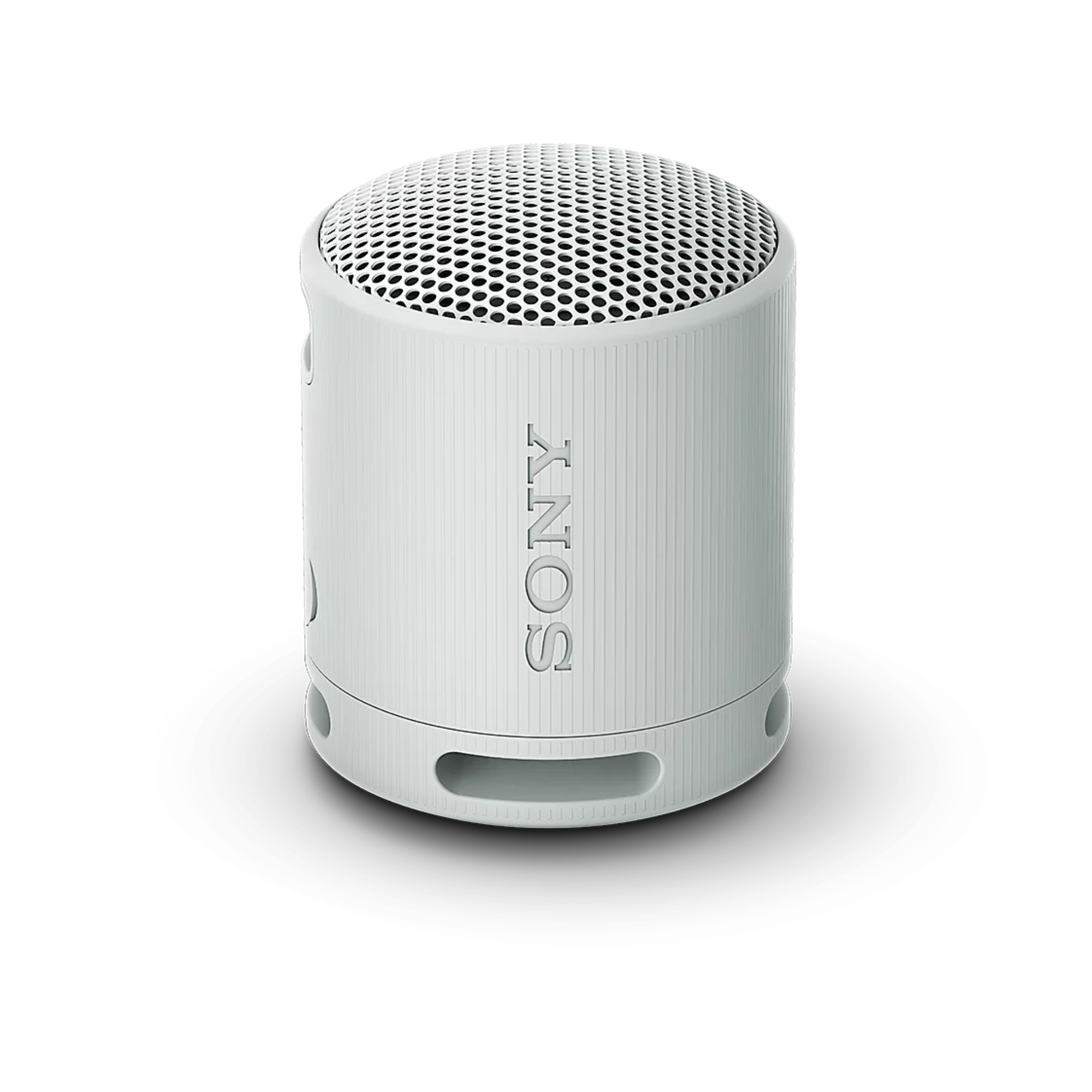 Sony SRS-XB100 Portable Wireless Speaker